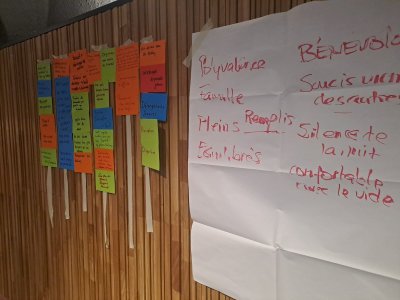 Une journée au vert pour renforcer nos liens et nos compétences !